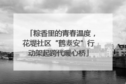 粽香里的青春温度，花堤社区“鹤耋安”行动架起跨代暖心桥